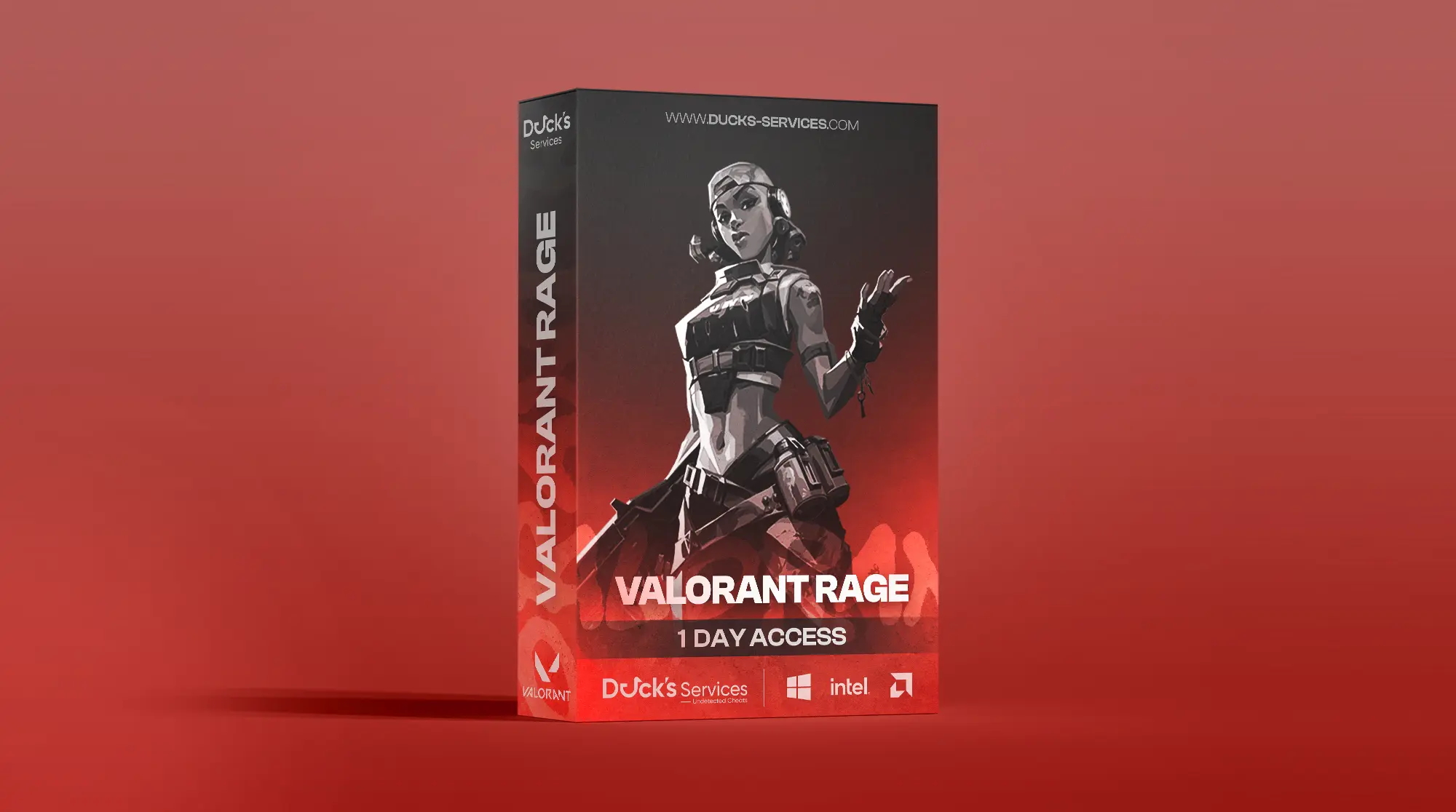 Valorant Rage V2 1 Day