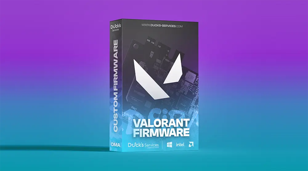 Custom Firmware [VALORANT / BE / EAC]