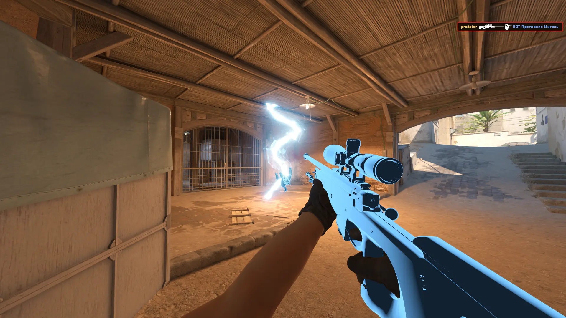 CS2 Predator