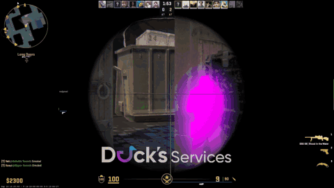 CS2 ESP and Wallhack Demo GIF