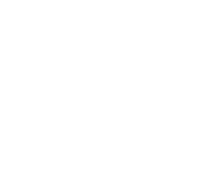 duckservices-logo